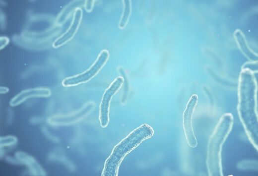 Fortbildung der darmakademie.com